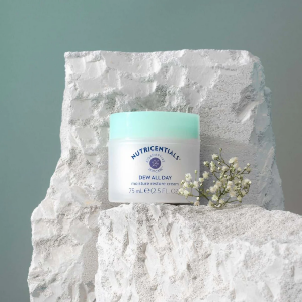 Nu Skin DEW all Day Feuchtigkeitscreme von Nutricentials auf Stein Nuskin Nu Skin DEW all Day Feuchtigkeitscreme von Nutricentials auf Stein Nuskin