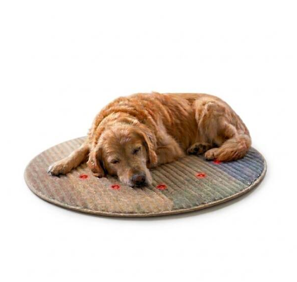 Healymat Magnetfeldmatte für Hunde – 5 % günstiger mit Healymat Rabattcode Beautyteam5